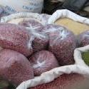 Dagoretti School Feeding Program